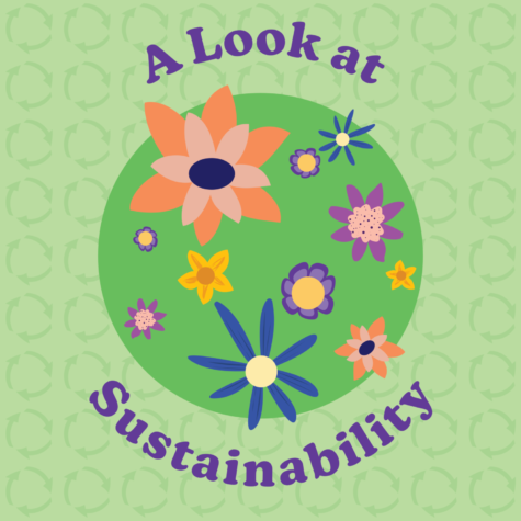 A Look at Sustainable Foods