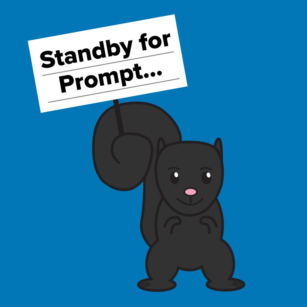 Black Squirrel Improv (1)